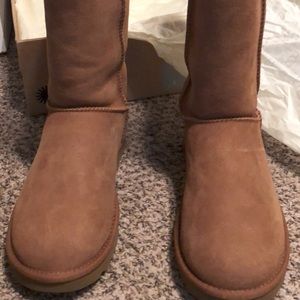 Brand new Tall Chestnut Ugg’s size 8.